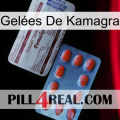 Gelées De Kamagra 36